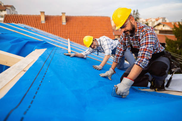 Best Gutter Installation and Roofing  in Olivet, TN